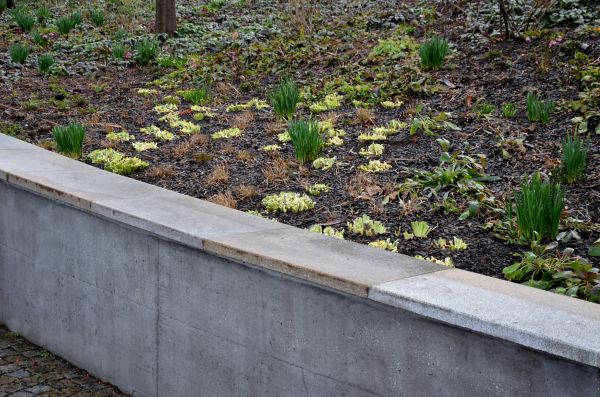 Cost of Concrete Wall Construction in Lafayette