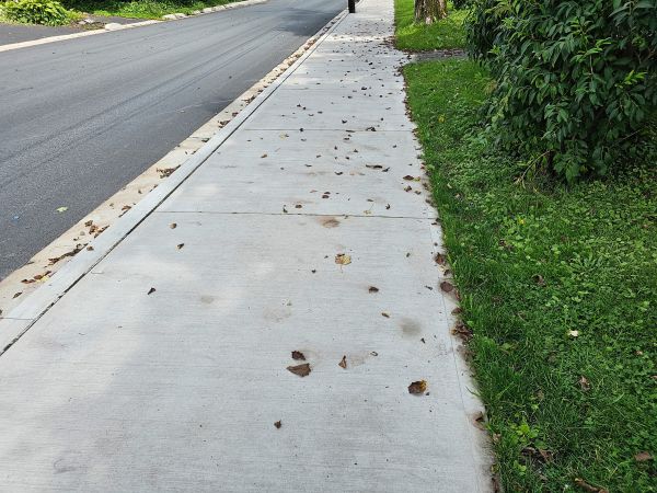 Cost of Sidewalk Renovation in Lafayette