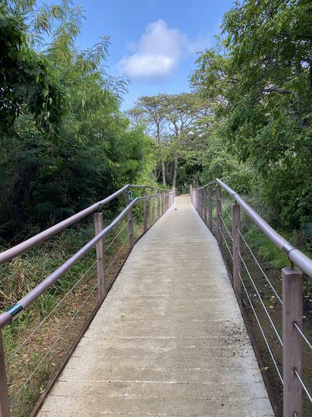 Cost of Footpath Construction in Lafayette