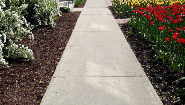 Cost of Cement Sidewalk Installation in Lafayette