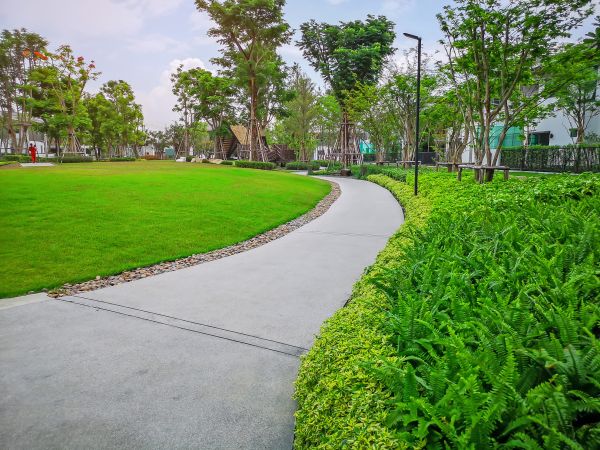 Cost of Cement Walkway Service in Lafayette